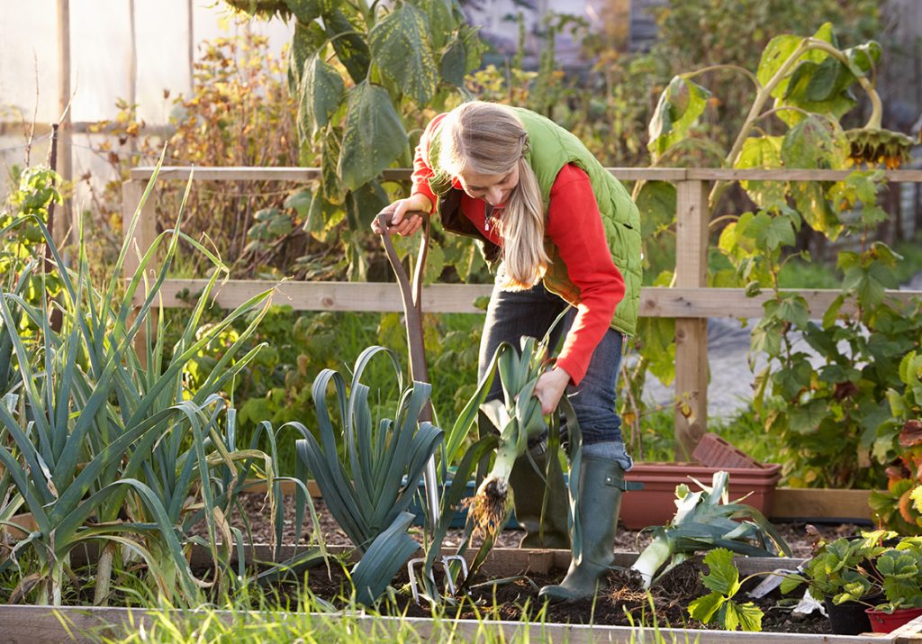 woman doing gardening